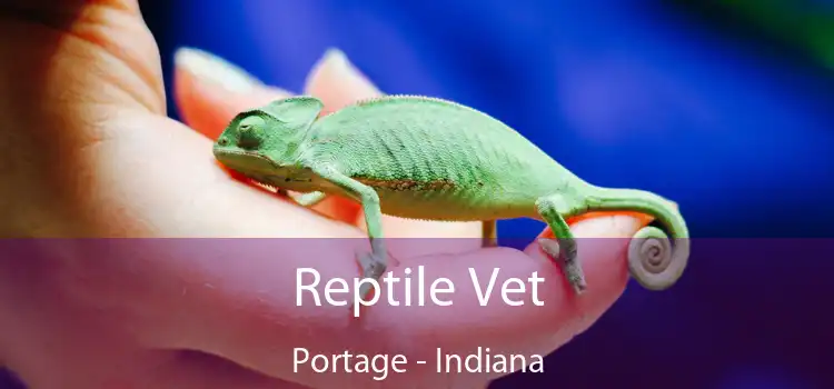 Reptile Vet Portage - Indiana