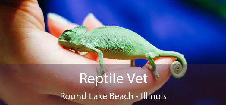 Reptile Vet Round Lake Beach - Illinois