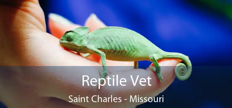 Reptile Vet Saint Charles - Missouri