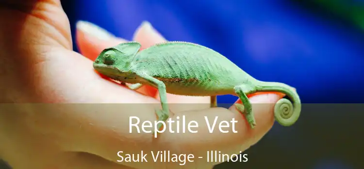 Reptile Vet Sauk Village - Illinois