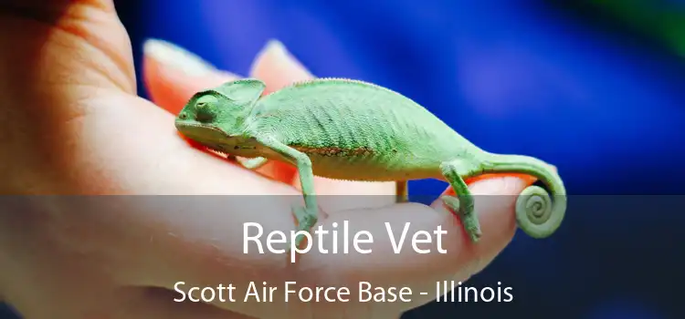 Reptile Vet Scott Air Force Base - Illinois