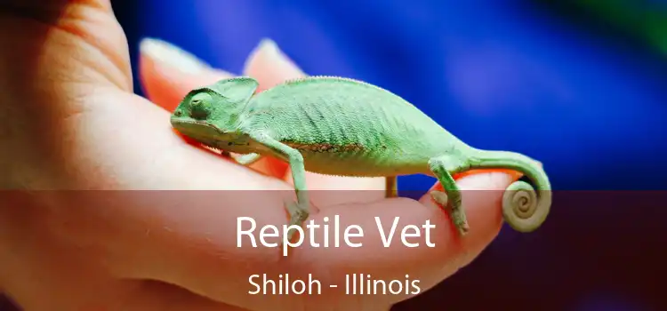 Reptile Vet Shiloh - Illinois