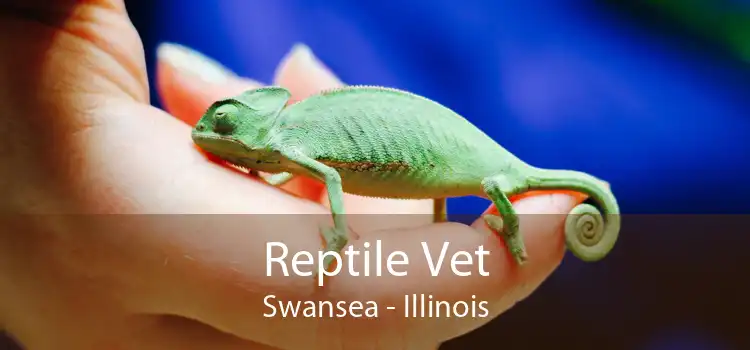 Reptile Vet Swansea - Illinois