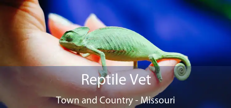 Reptile Vet Town and Country - Missouri