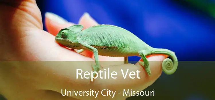 Reptile Vet University City - Missouri