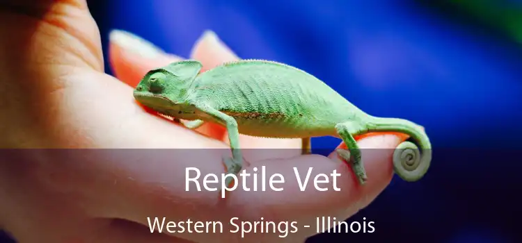 Reptile Vet Western Springs - Illinois