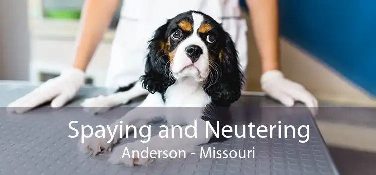 Spaying and Neutering Anderson - Missouri