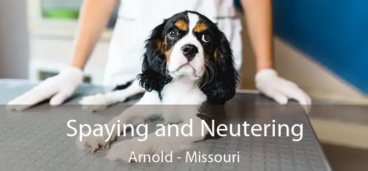Spaying and Neutering Arnold - Missouri