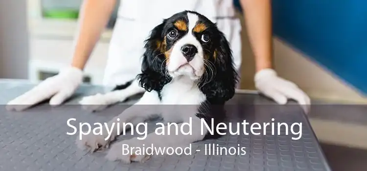 Spaying and Neutering Braidwood - Illinois