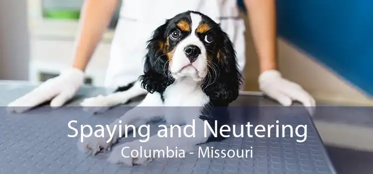 Spaying and Neutering Columbia - Missouri