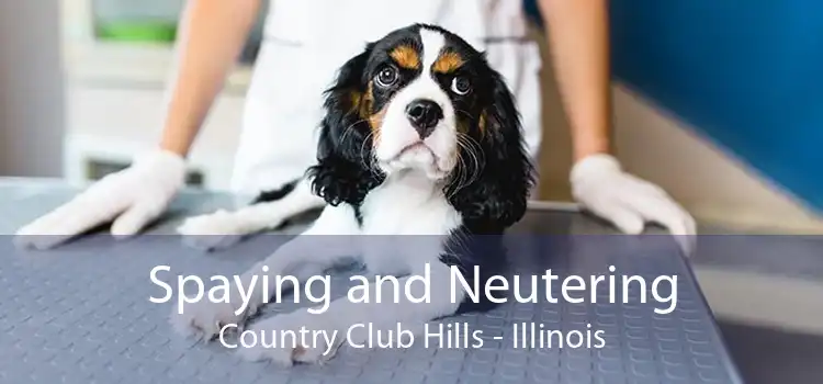 Spaying and Neutering Country Club Hills - Illinois