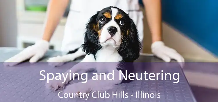Spaying and Neutering Country Club Hills - Illinois