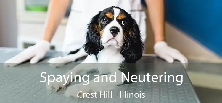Spaying and Neutering Crest Hill - Illinois