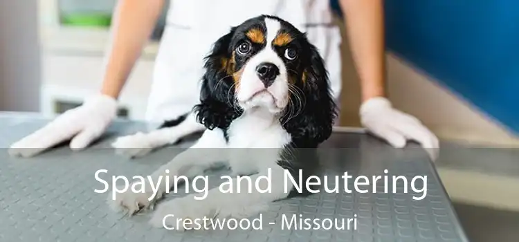 Spaying and Neutering Crestwood - Missouri