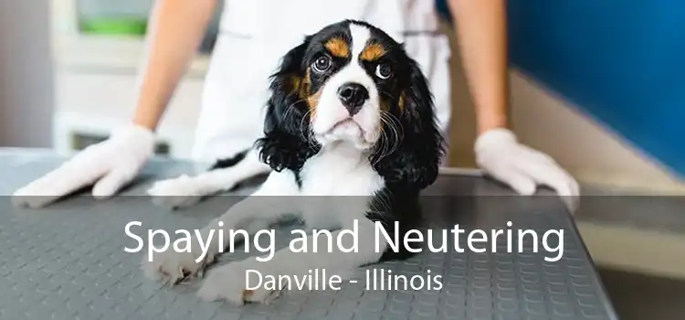 Spaying and Neutering Danville - Illinois