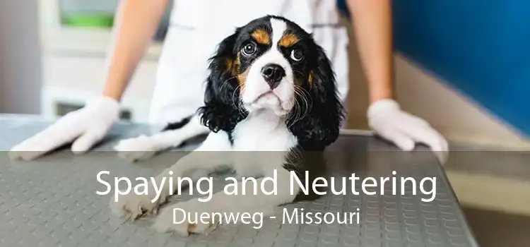 Spaying and Neutering Duenweg - Missouri