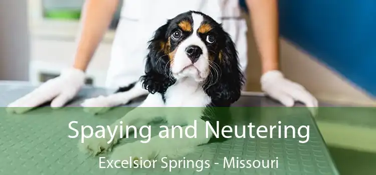 Spaying and Neutering Excelsior Springs - Missouri