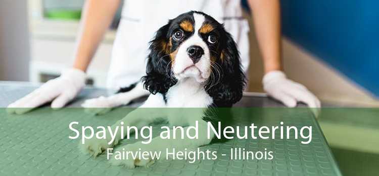 Spaying and Neutering Fairview Heights - Illinois