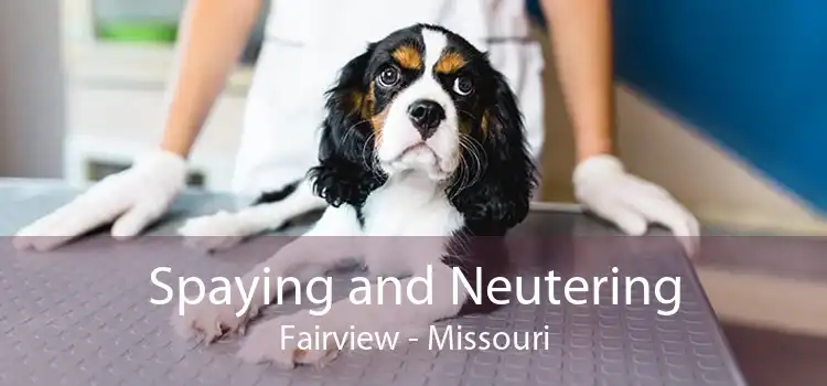 Spaying and Neutering Fairview - Missouri