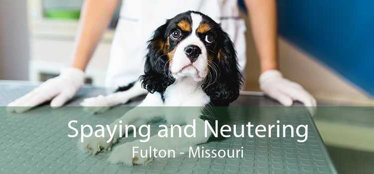 Spaying and Neutering Fulton - Missouri