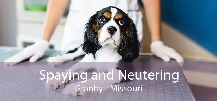 Spaying and Neutering Granby - Missouri