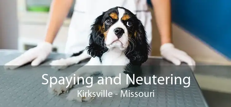 Spaying and Neutering Kirksville - Missouri
