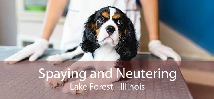 Spaying and Neutering Lake Forest - Illinois