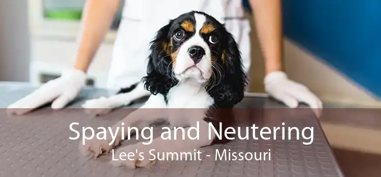 Spaying and Neutering Lee's Summit - Missouri