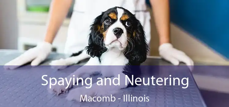 Spaying and Neutering Macomb - Illinois