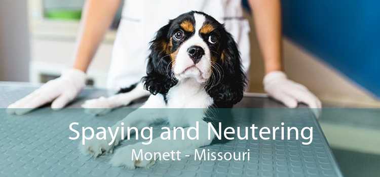 Spaying and Neutering Monett - Missouri