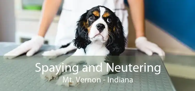 Spaying and Neutering Mt. Vernon - Indiana