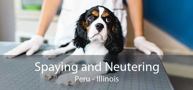 Spaying and Neutering Peru - Illinois