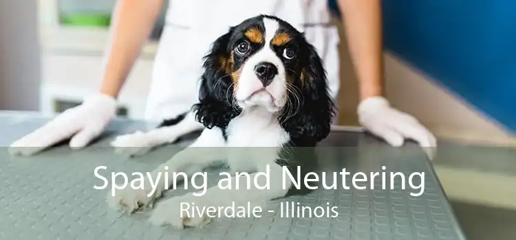 Spaying and Neutering Riverdale - Illinois