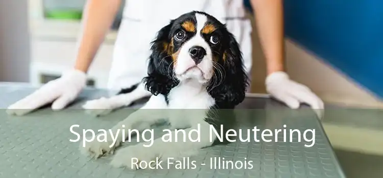 Spaying and Neutering Rock Falls - Illinois