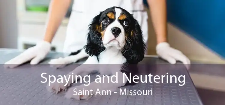 Spaying and Neutering Saint Ann - Missouri
