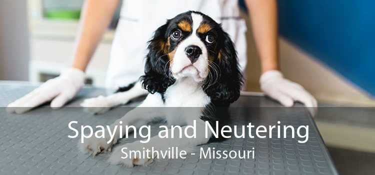 Spaying and Neutering Smithville - Missouri