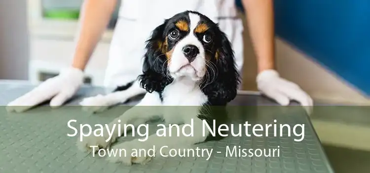 Spaying and Neutering Town and Country - Missouri