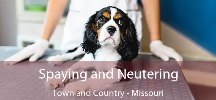Spaying and Neutering Town and Country - Missouri