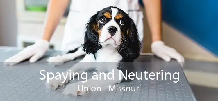 Spaying and Neutering Union - Missouri