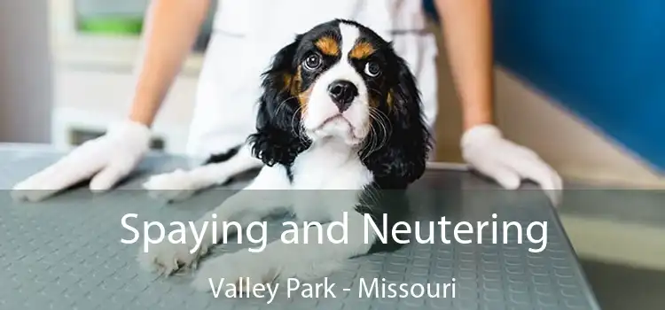 Spaying and Neutering Valley Park - Missouri