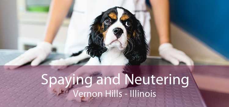 Spaying and Neutering Vernon Hills - Illinois
