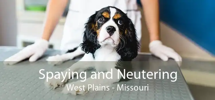Spaying and Neutering West Plains - Missouri