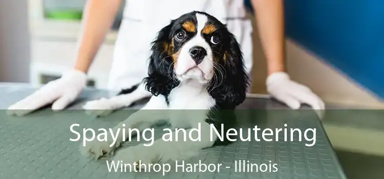 Spaying and Neutering Winthrop Harbor - Illinois