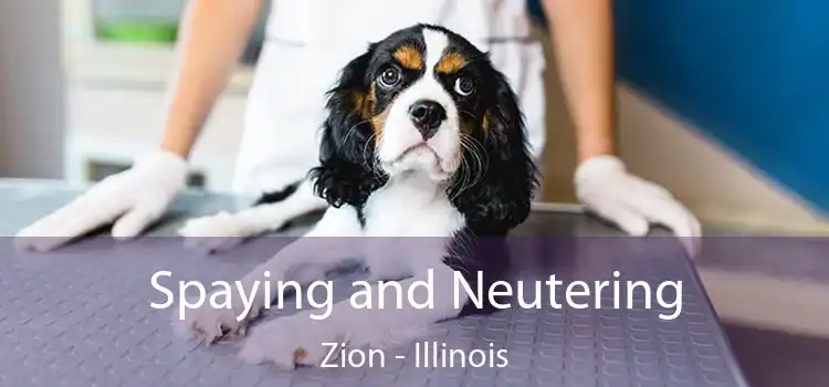 Spaying and Neutering Zion - Illinois