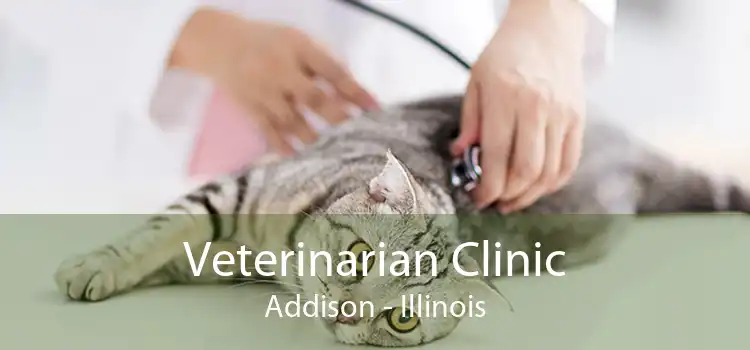 Veterinarian Clinic Addison - Illinois