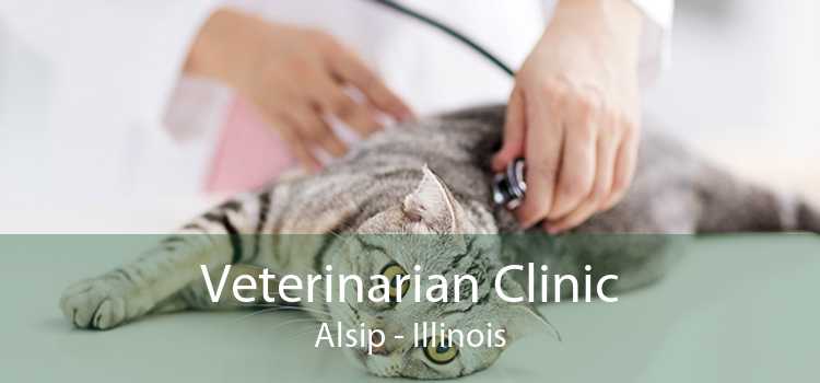 Veterinarian Clinic Alsip - Illinois