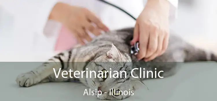 Veterinarian Clinic Alsip - Illinois