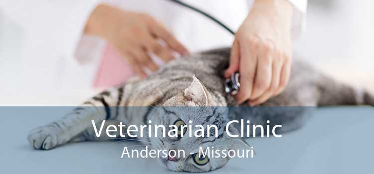 Veterinarian Clinic Anderson - Missouri