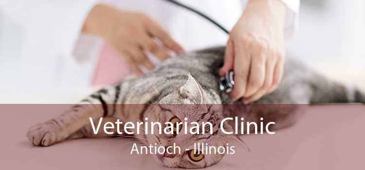 Veterinarian Clinic Antioch - Illinois