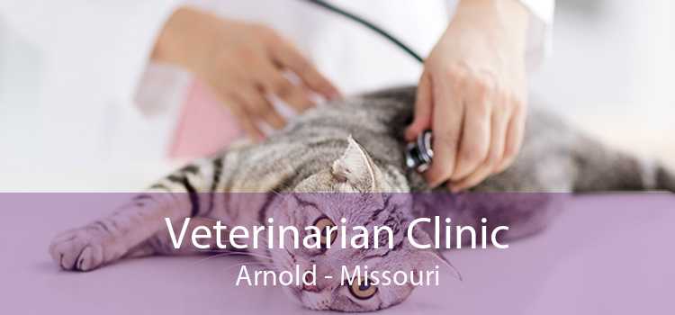 Veterinarian Clinic Arnold - Missouri